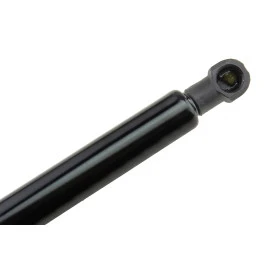 BMW X5 (2013-2018) / X6 (2007-2019) NTY 266mm/320N αμορτισέρ πορτ μπαγκάζ (OE 51476980060) -1τμχ BMW X5 (2013-2018) / X6 (2007-2019) NTY 266mm/320N αμορτισέρ πορτ μπαγκάζ (OE 51476980060) -1τμχ